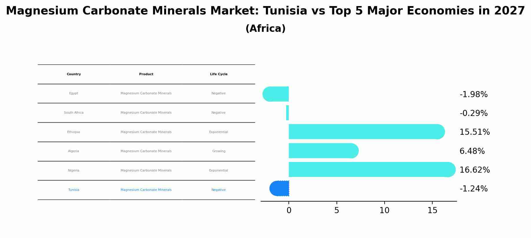 Magnesium Carbonate Minerals Market: Tunisia vs Top 5 Major Economies in 2027 (Africa)