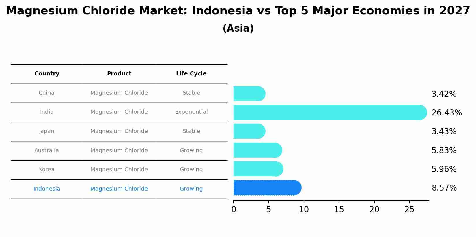 Magnesium Chloride Market: Indonesia vs Top 5 Major Economies in 2027 (Asia)