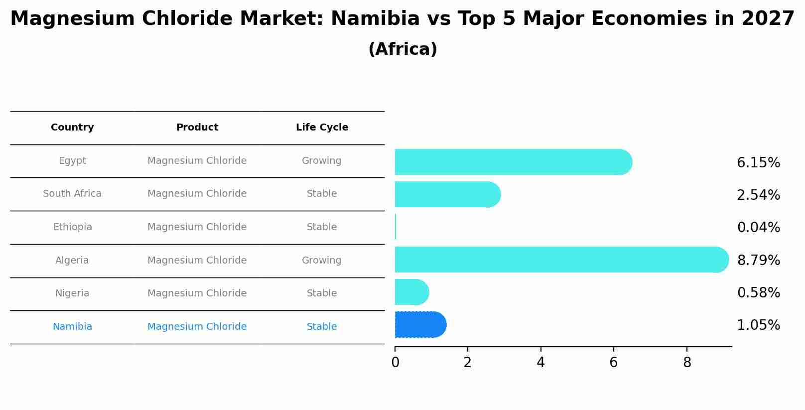 Magnesium Chloride Market: Namibia vs Top 5 Major Economies in 2027 (Africa)