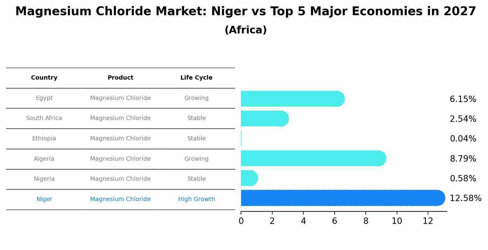 Magnesium Chloride Market: Niger vs Top 5 Major Economies in 2027 (Africa)