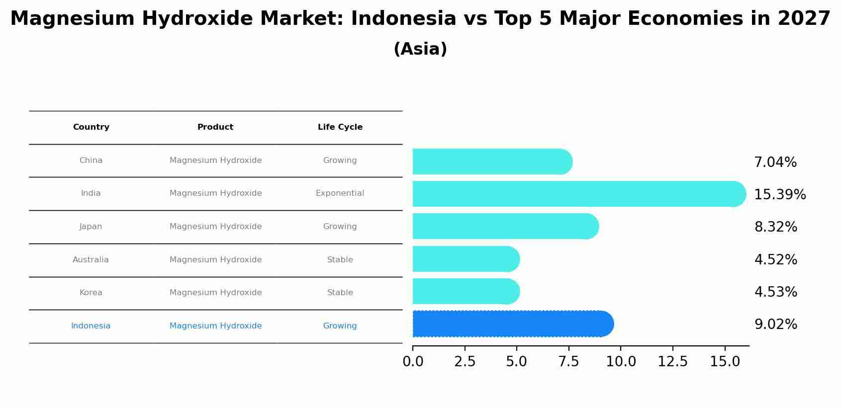Magnesium Hydroxide Market: Indonesia vs Top 5 Major Economies in 2027 (Asia)