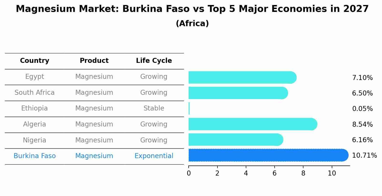 Magnesium Market: Burkina Faso vs Top 5 Major Economies in 2027 (Africa)