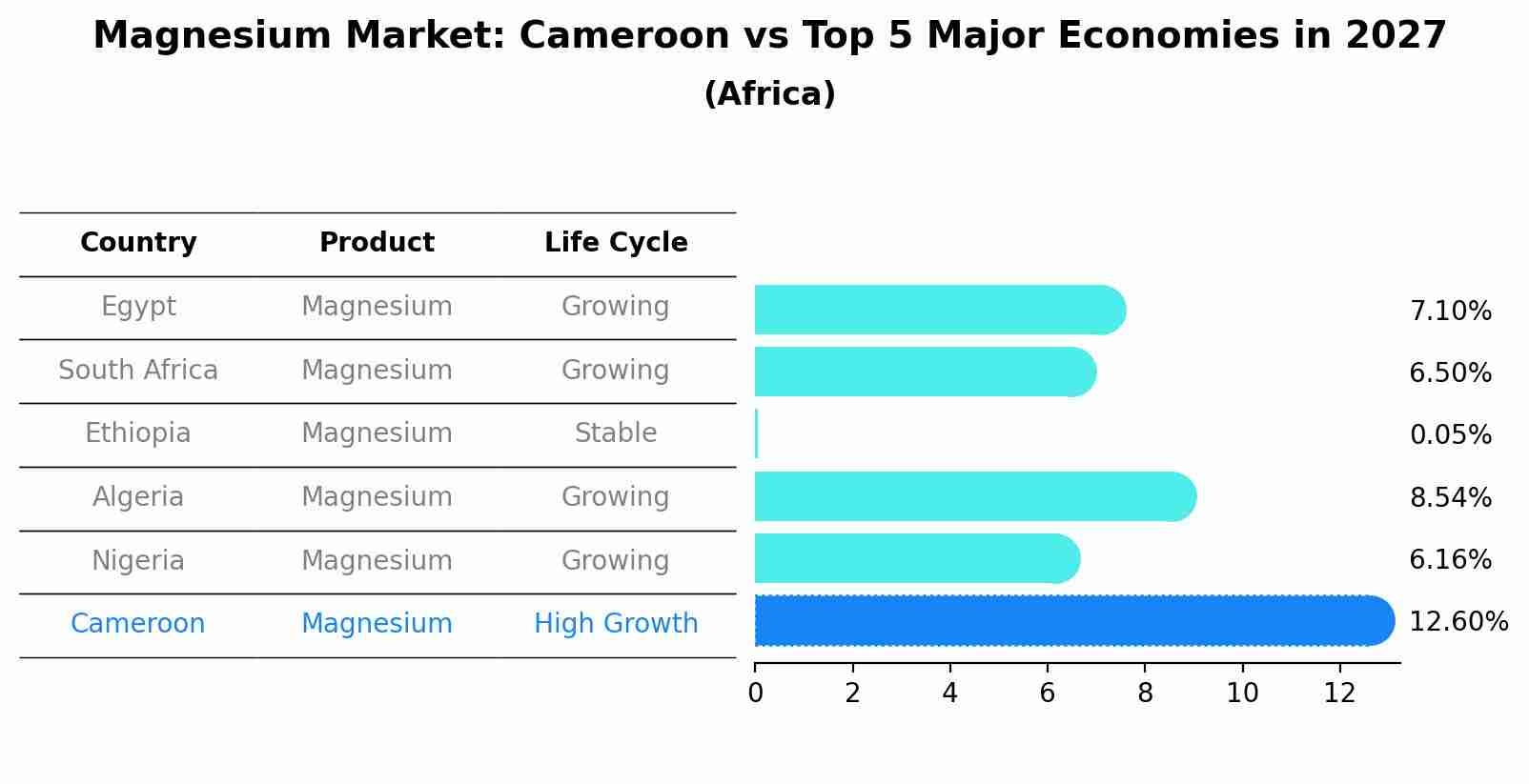 Magnesium Market: Cameroon vs Top 5 Major Economies in 2027 (Africa)