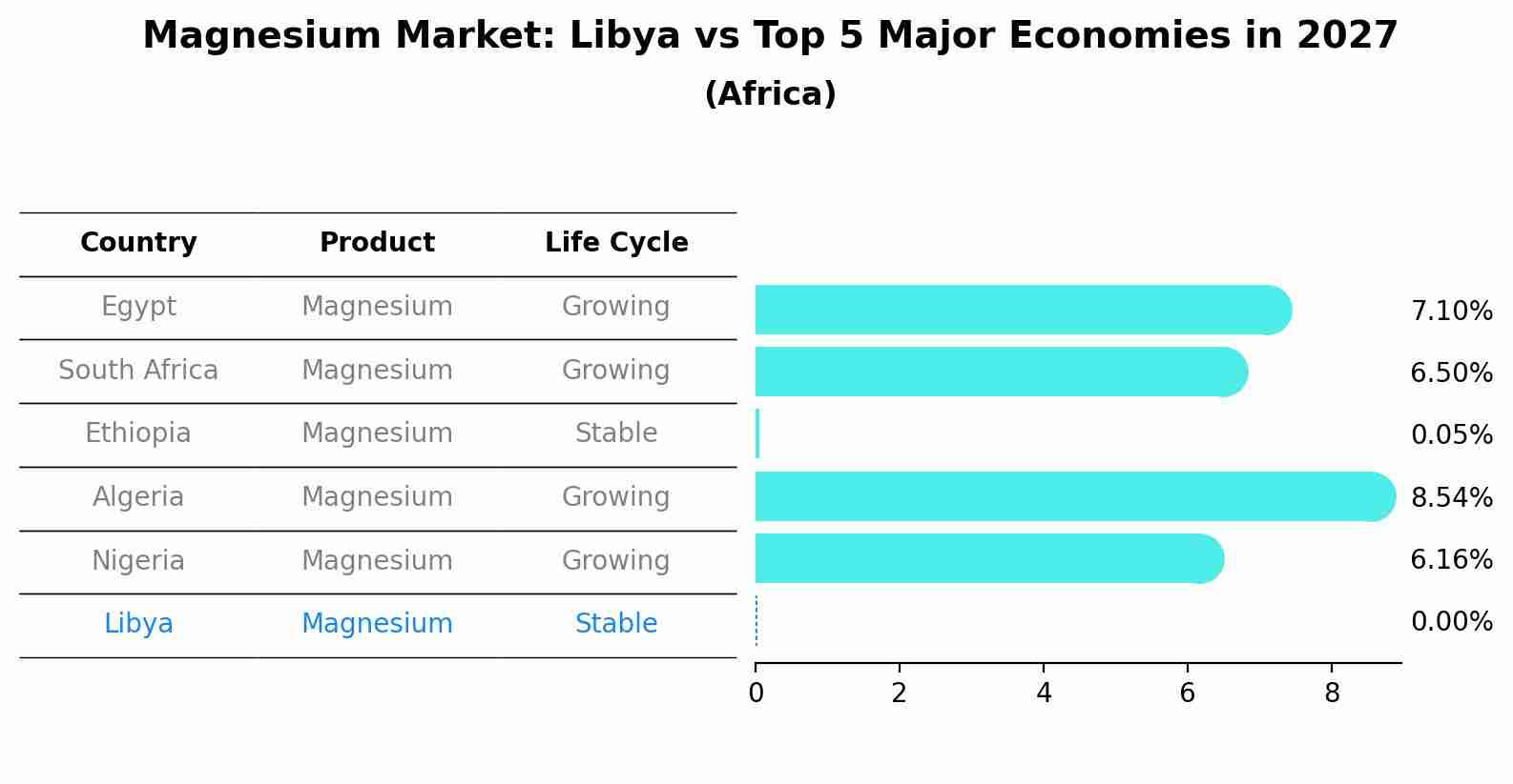 Magnesium Market: Libya vs Top 5 Major Economies in 2027 (Africa)
