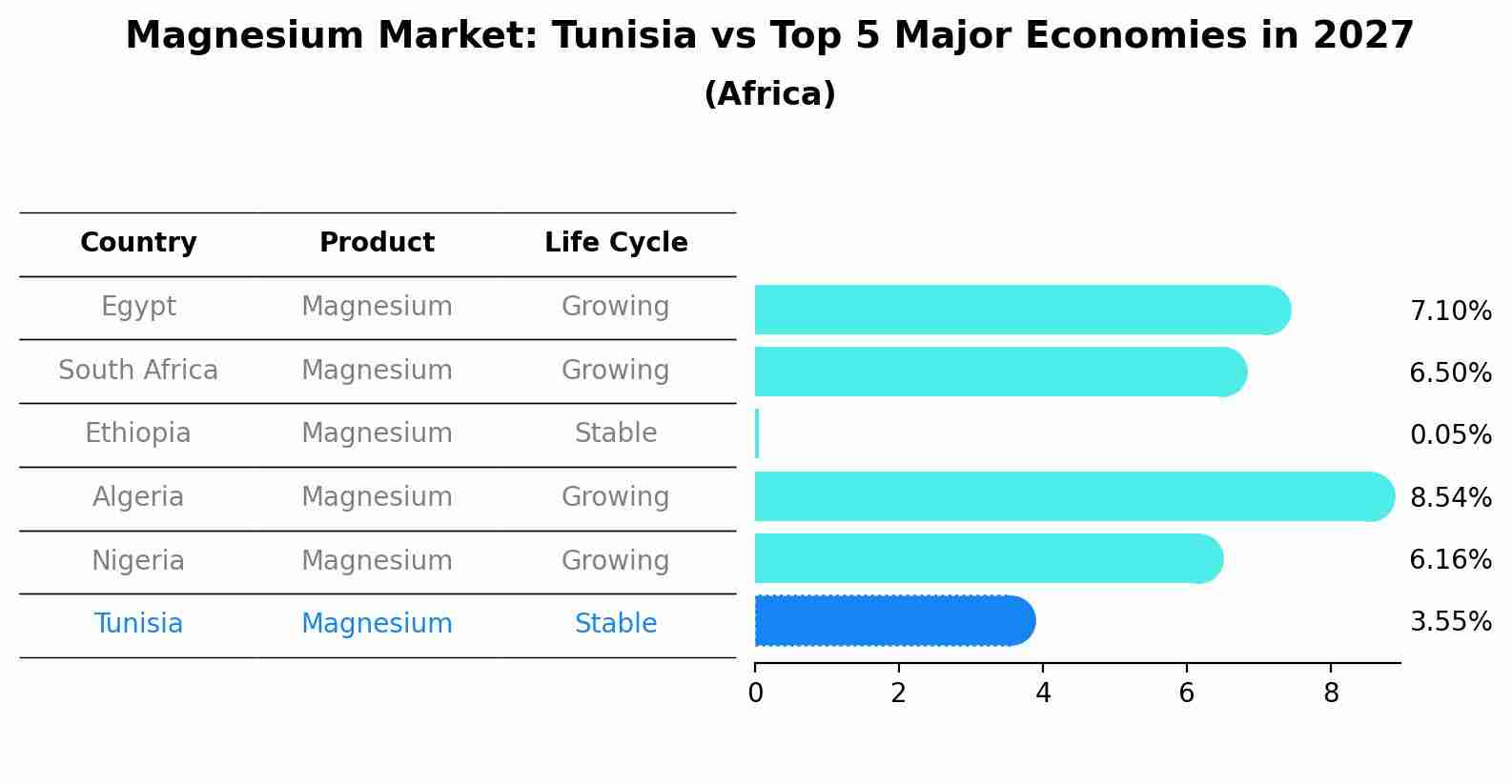 Magnesium Market: Tunisia vs Top 5 Major Economies in 2027 (Africa)