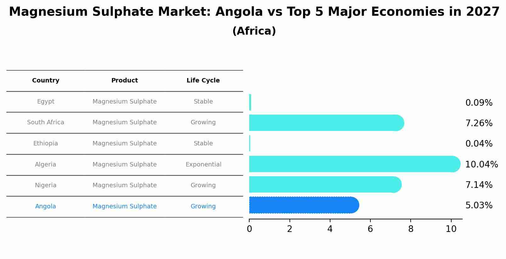 Magnesium Sulphate Market: Angola vs Top 5 Major Economies in 2027 (Africa)
