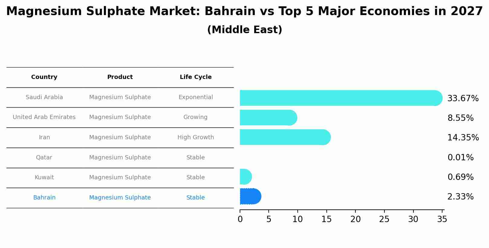 Magnesium Sulphate Market: Bahrain vs Top 5 Major Economies in 2027 (Middle East)