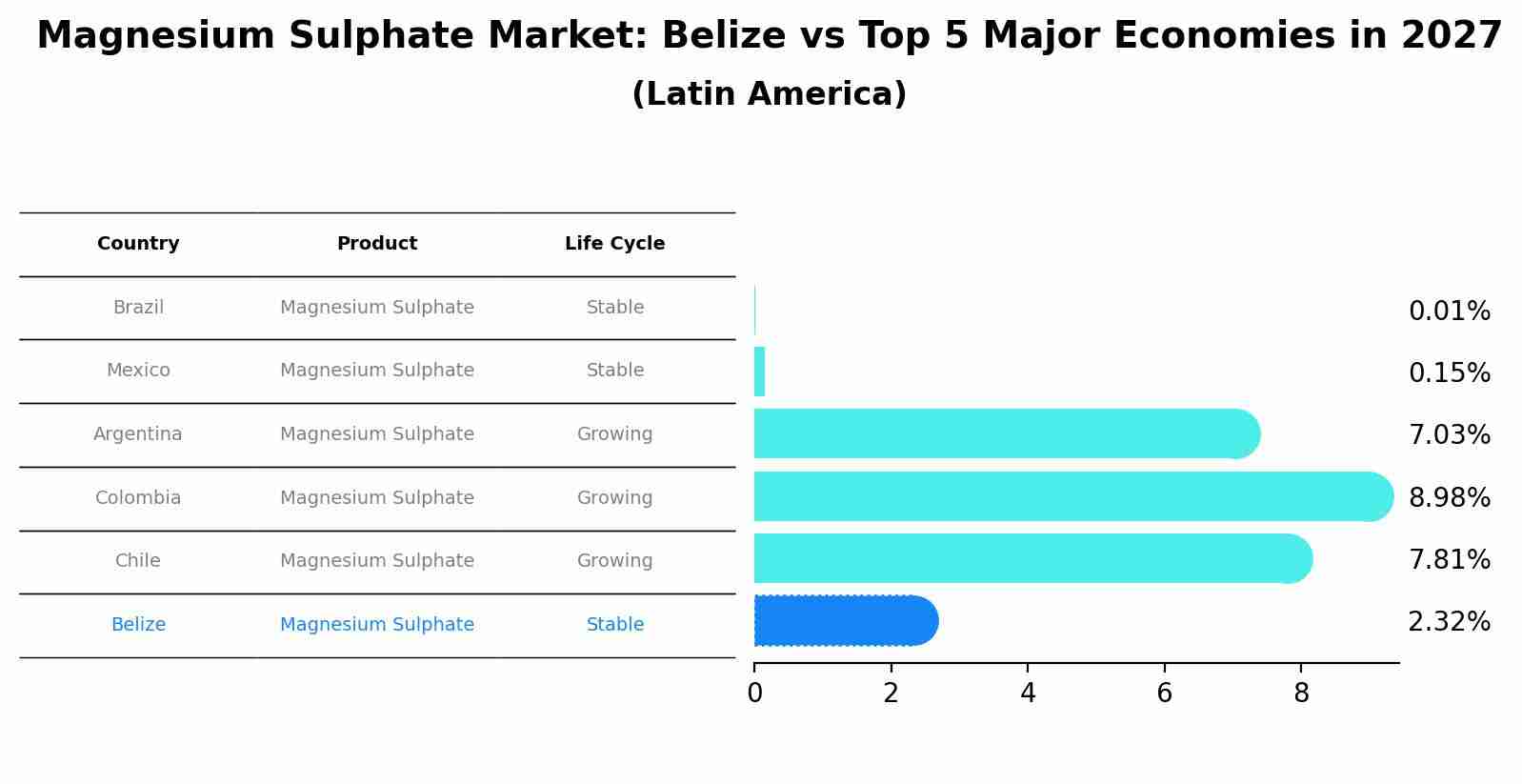 Magnesium Sulphate Market: Belize vs Top 5 Major Economies in 2027 (Latin America)