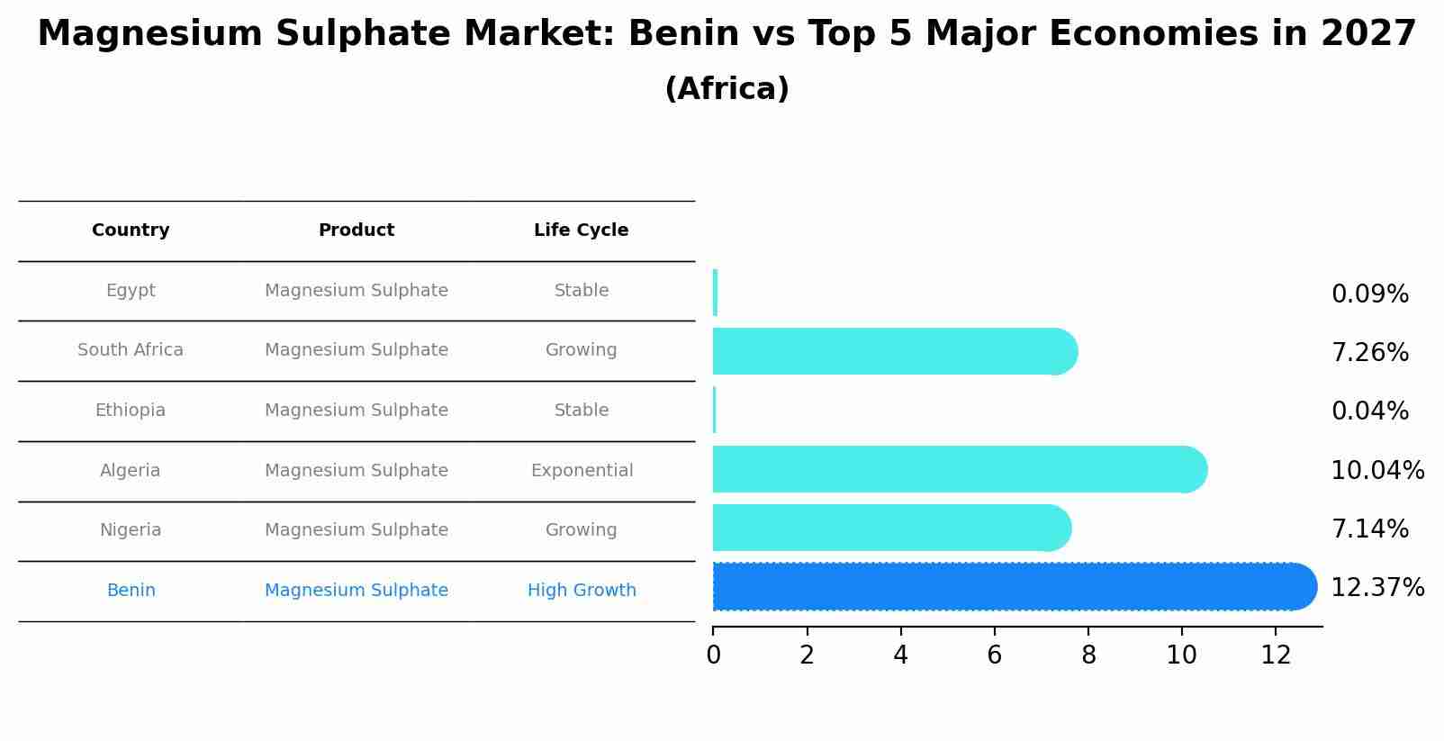 Magnesium Sulphate Market: Benin vs Top 5 Major Economies in 2027 (Africa)