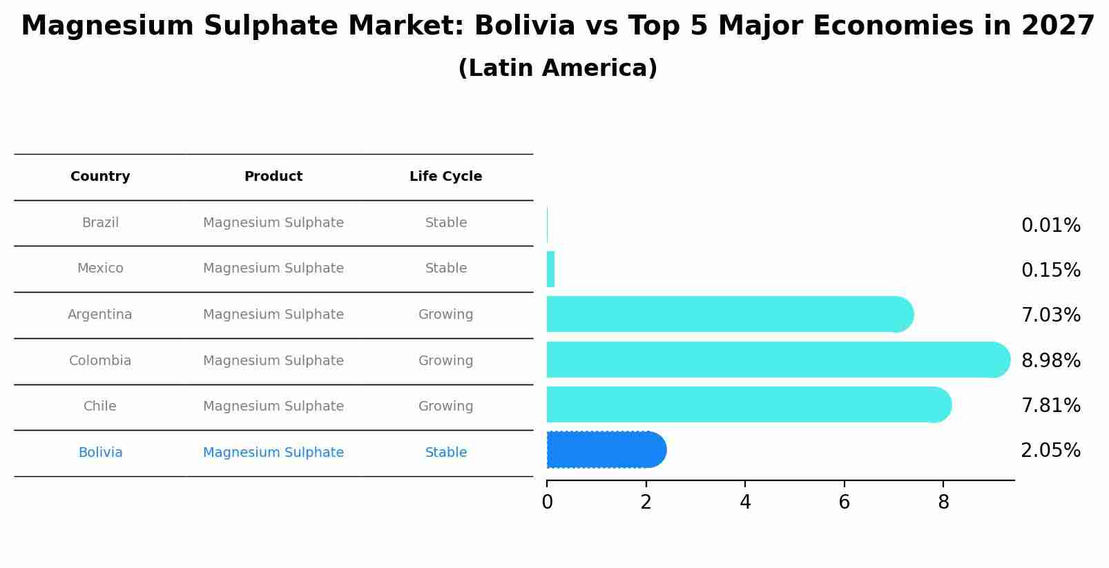Magnesium Sulphate Market: Bolivia vs Top 5 Major Economies in 2027 (Latin America)