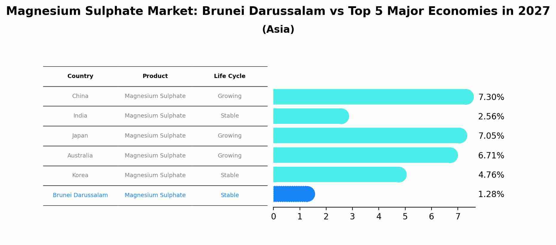 Magnesium Sulphate Market: Brunei Darussalam vs Top 5 Major Economies in 2027 (Asia)