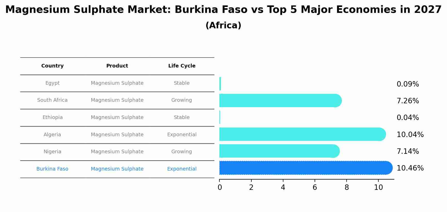 Magnesium Sulphate Market: Burkina Faso vs Top 5 Major Economies in 2027 (Africa)