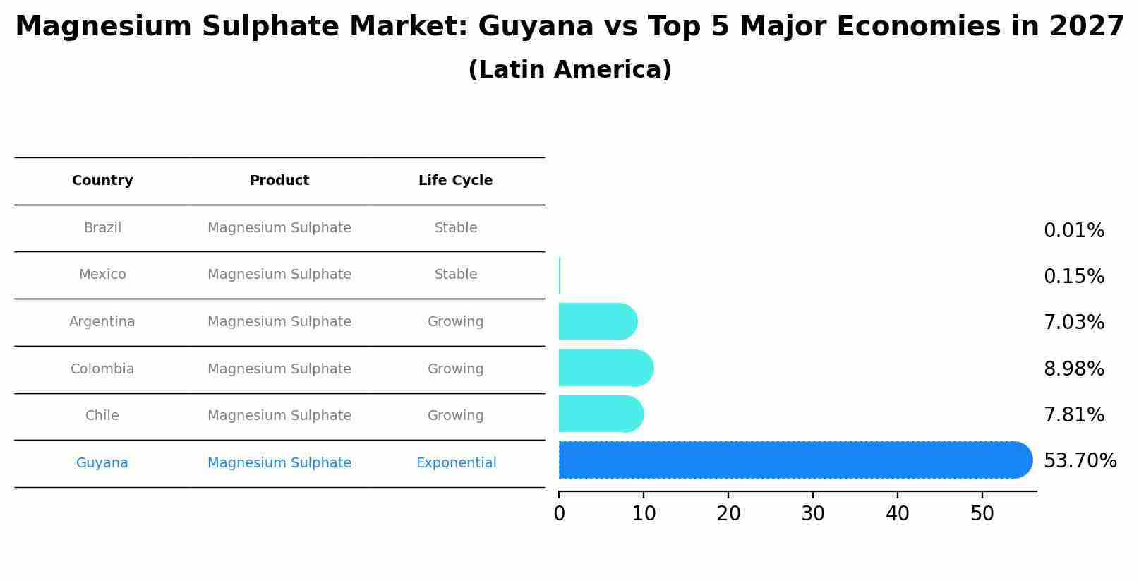 Magnesium Sulphate Market: Guyana vs Top 5 Major Economies in 2027 (Latin America)