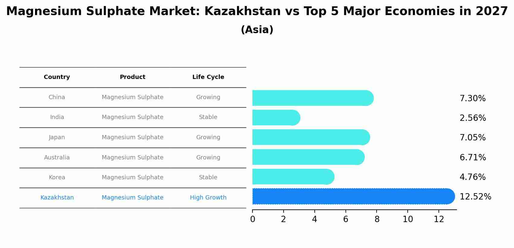 Magnesium Sulphate Market: Kazakhstan vs Top 5 Major Economies in 2027 (Asia)