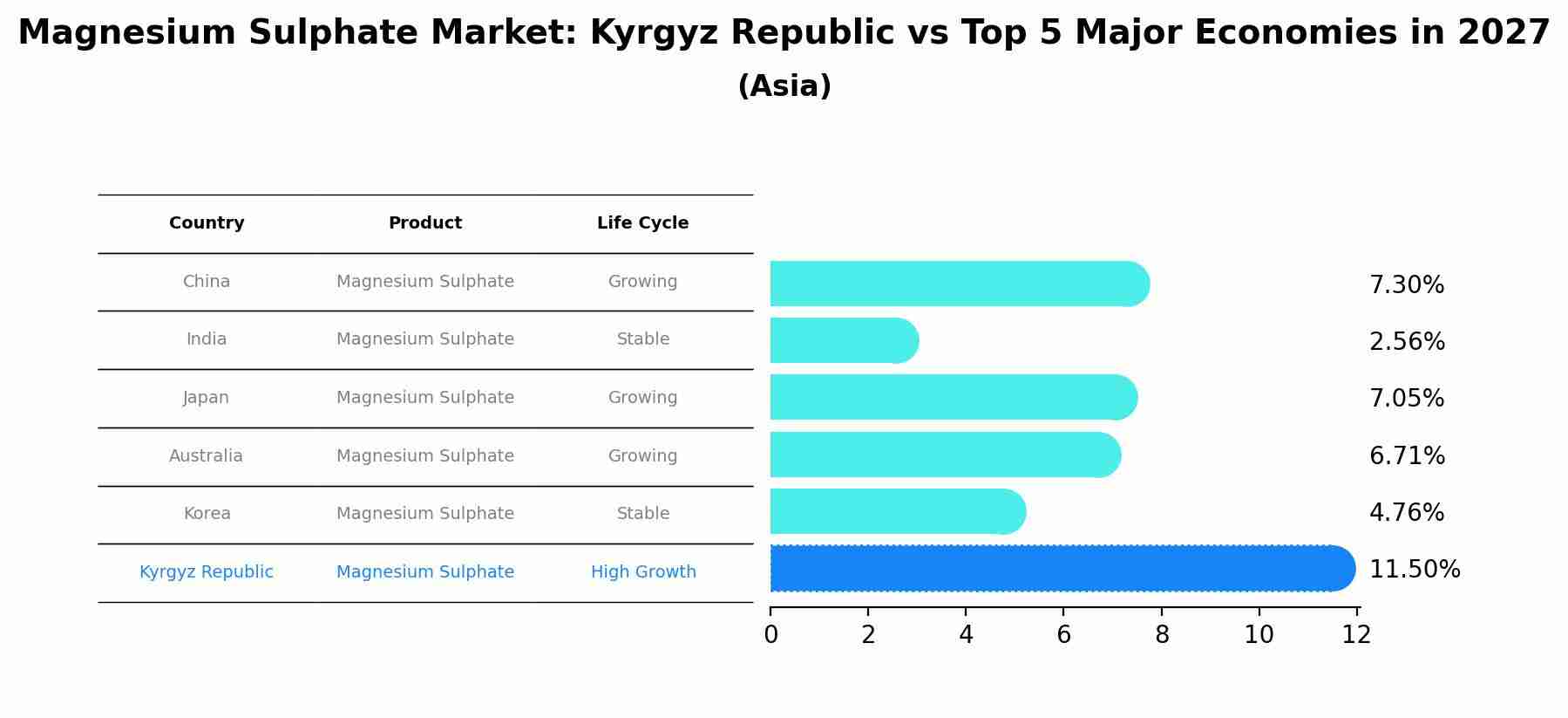 Magnesium Sulphate Market: Kyrgyz Republic vs Top 5 Major Economies in 2027 (Asia)