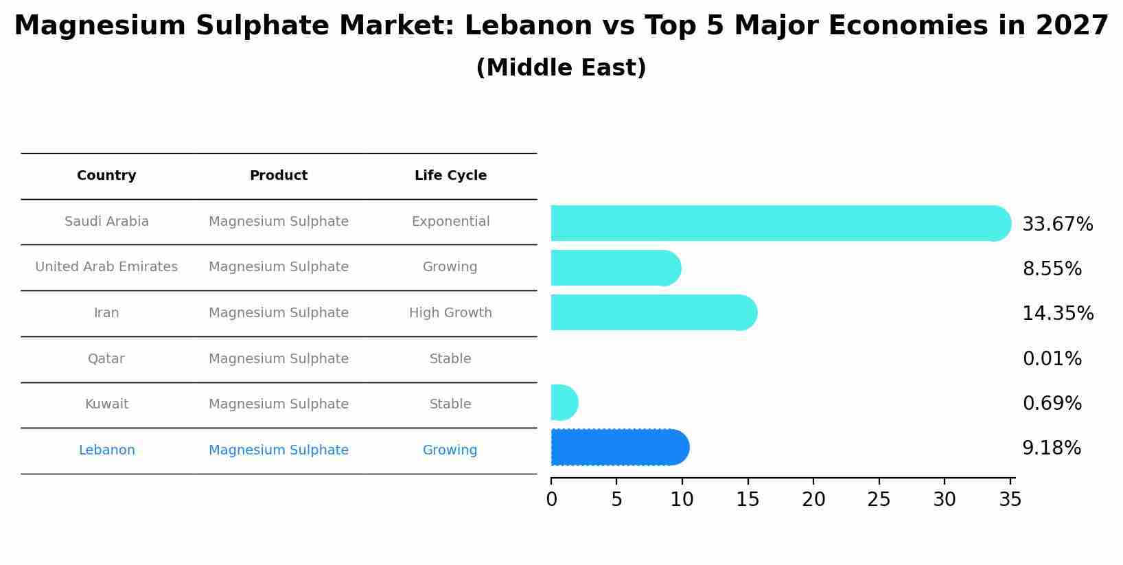 Magnesium Sulphate Market: Lebanon vs Top 5 Major Economies in 2027 (Middle East)
