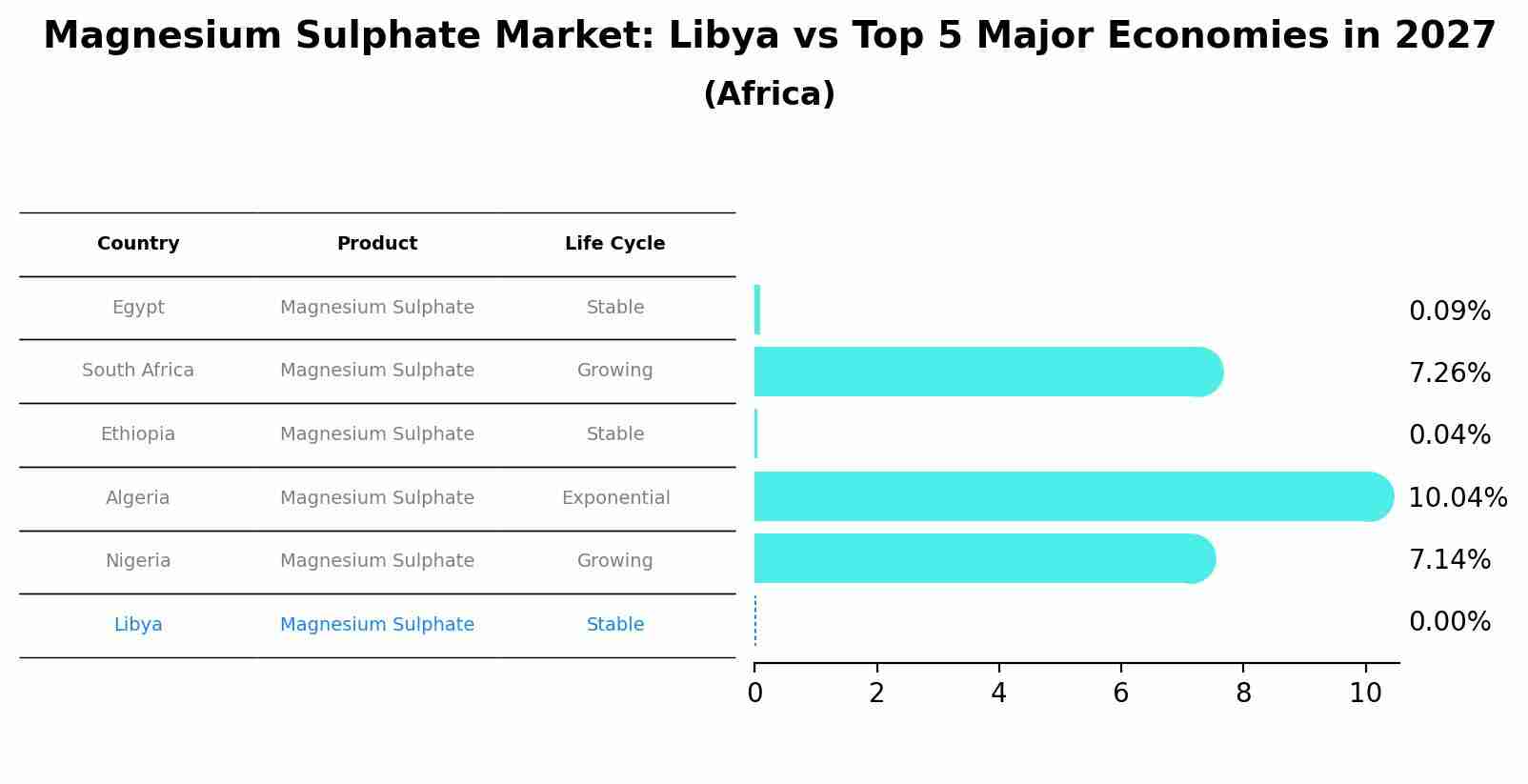 Magnesium Sulphate Market: Libya vs Top 5 Major Economies in 2027 (Africa)