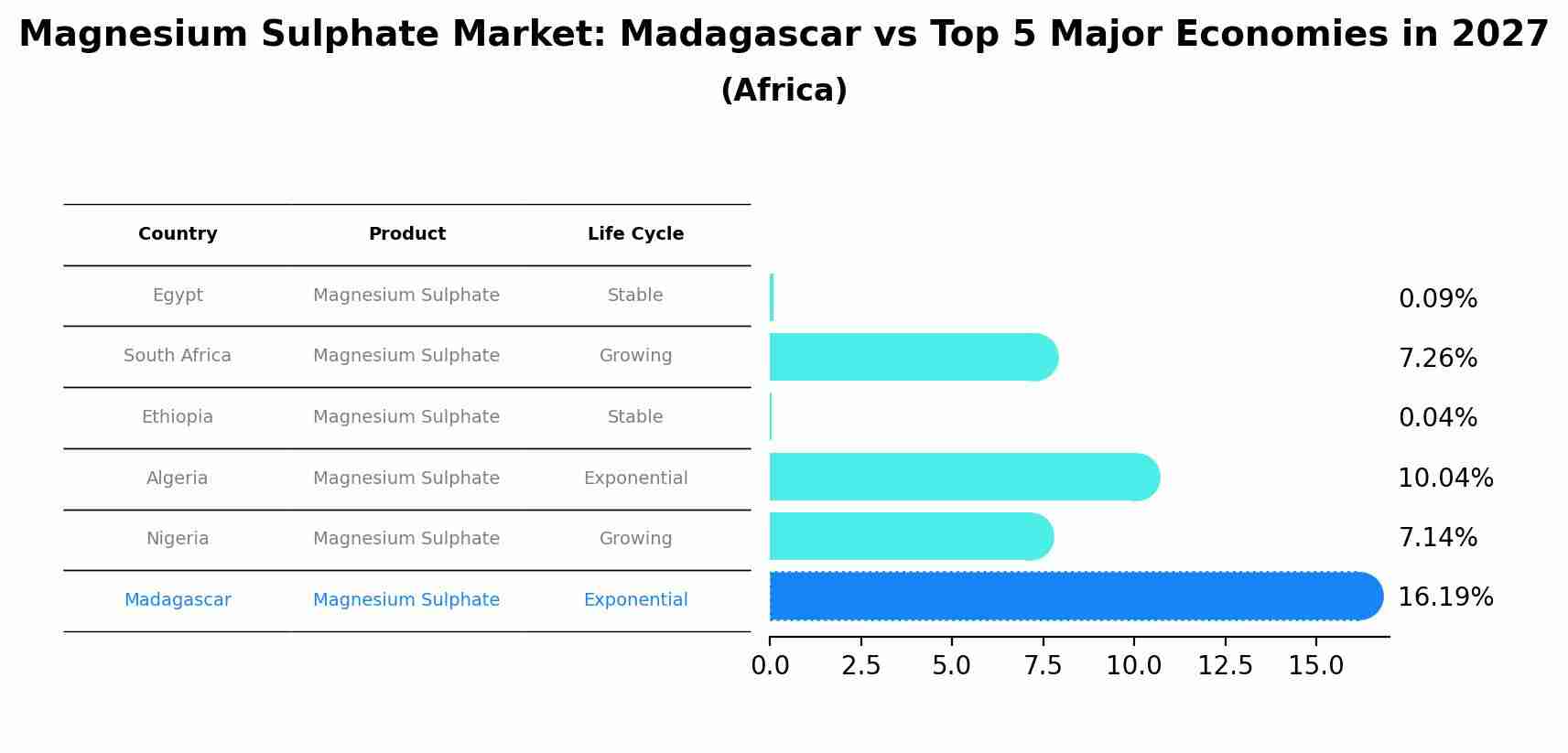 Magnesium Sulphate Market: Madagascar vs Top 5 Major Economies in 2027 (Africa)