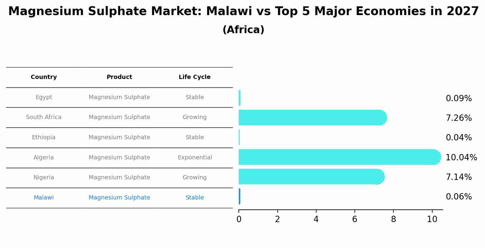 Magnesium Sulphate Market: Malawi vs Top 5 Major Economies in 2027 (Africa)