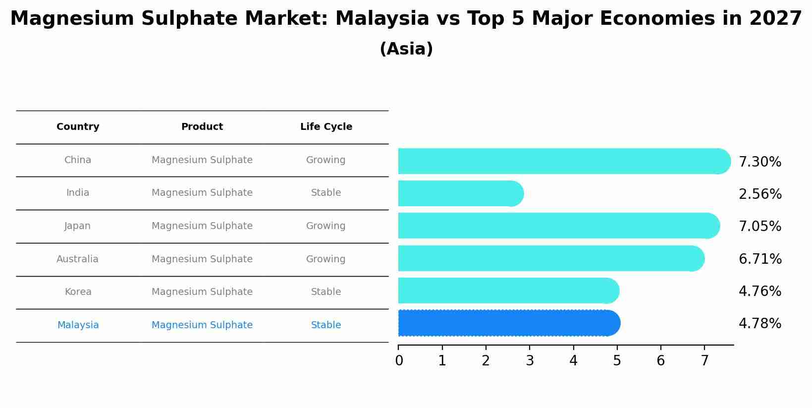 Magnesium Sulphate Market: Malaysia vs Top 5 Major Economies in 2027 (Asia)