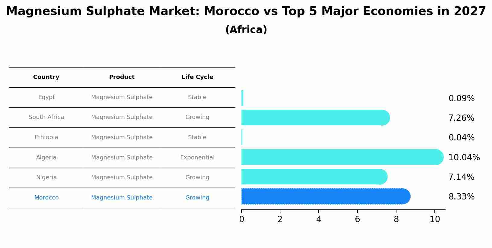 Magnesium Sulphate Market: Morocco vs Top 5 Major Economies in 2027 (Africa)