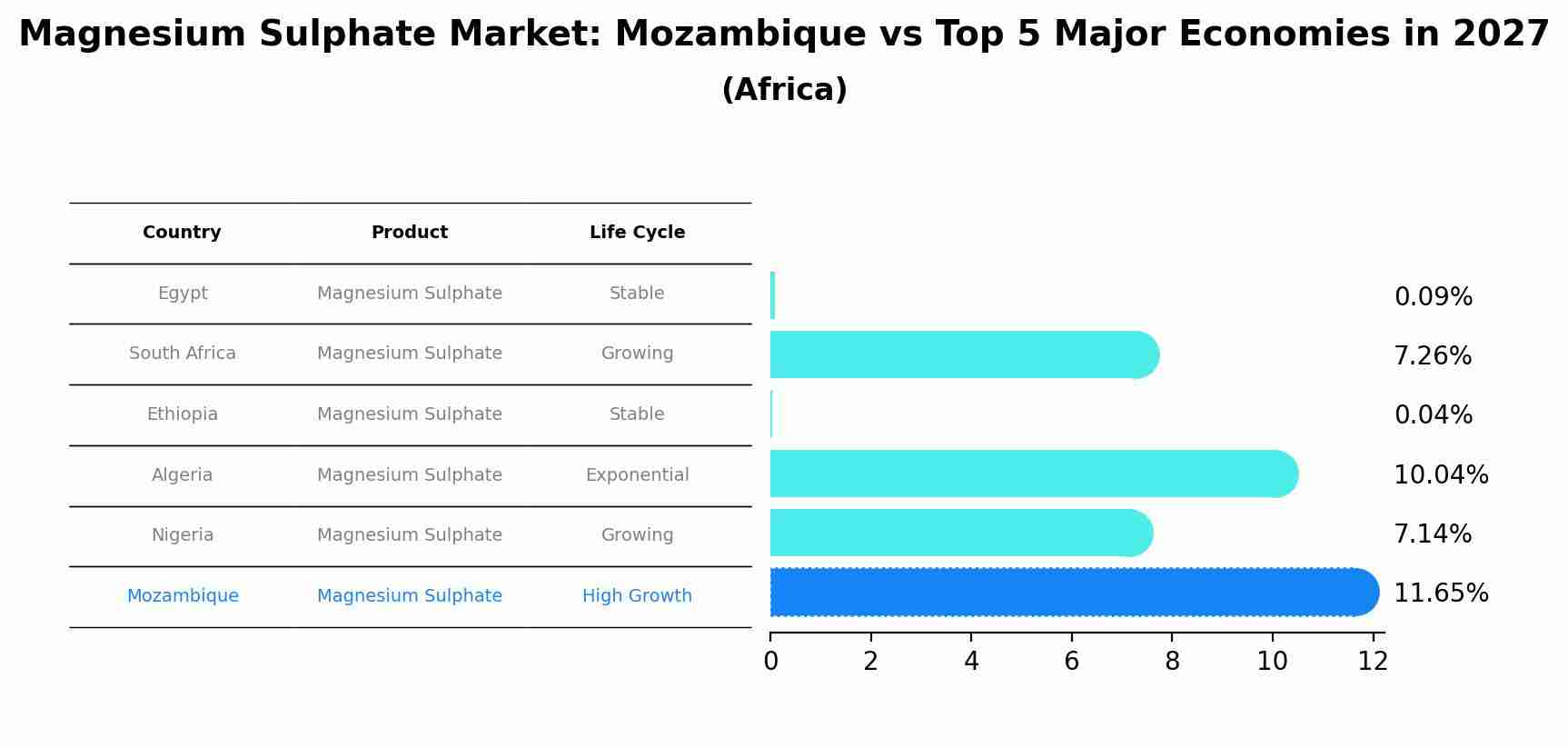 Magnesium Sulphate Market: Mozambique vs Top 5 Major Economies in 2027 (Africa)