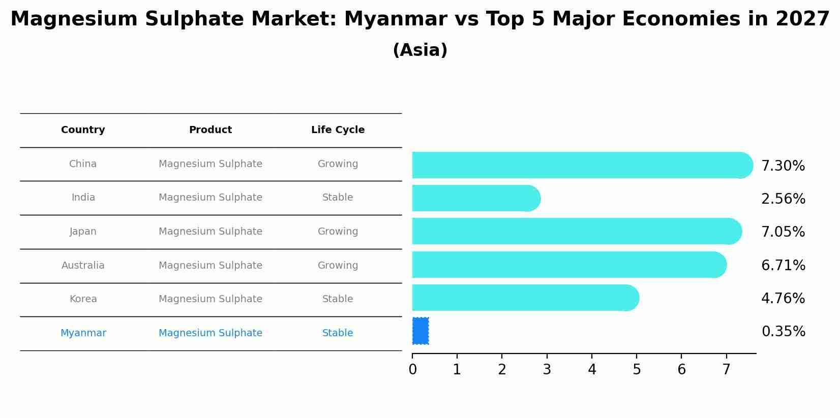 Magnesium Sulphate Market: Myanmar vs Top 5 Major Economies in 2027 (Asia)