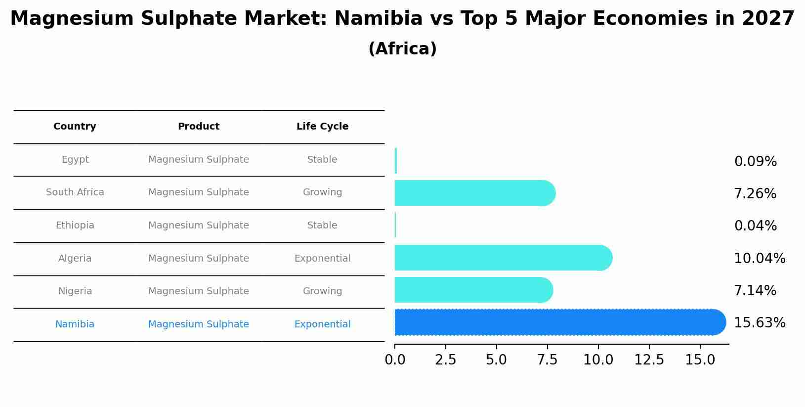 Magnesium Sulphate Market: Namibia vs Top 5 Major Economies in 2027 (Africa)
