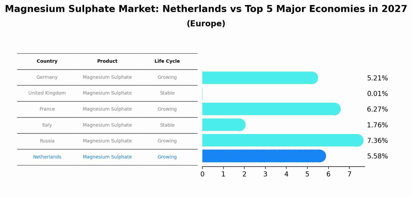 Magnesium Sulphate Market: Netherlands vs Top 5 Major Economies in 2027 (Europe)