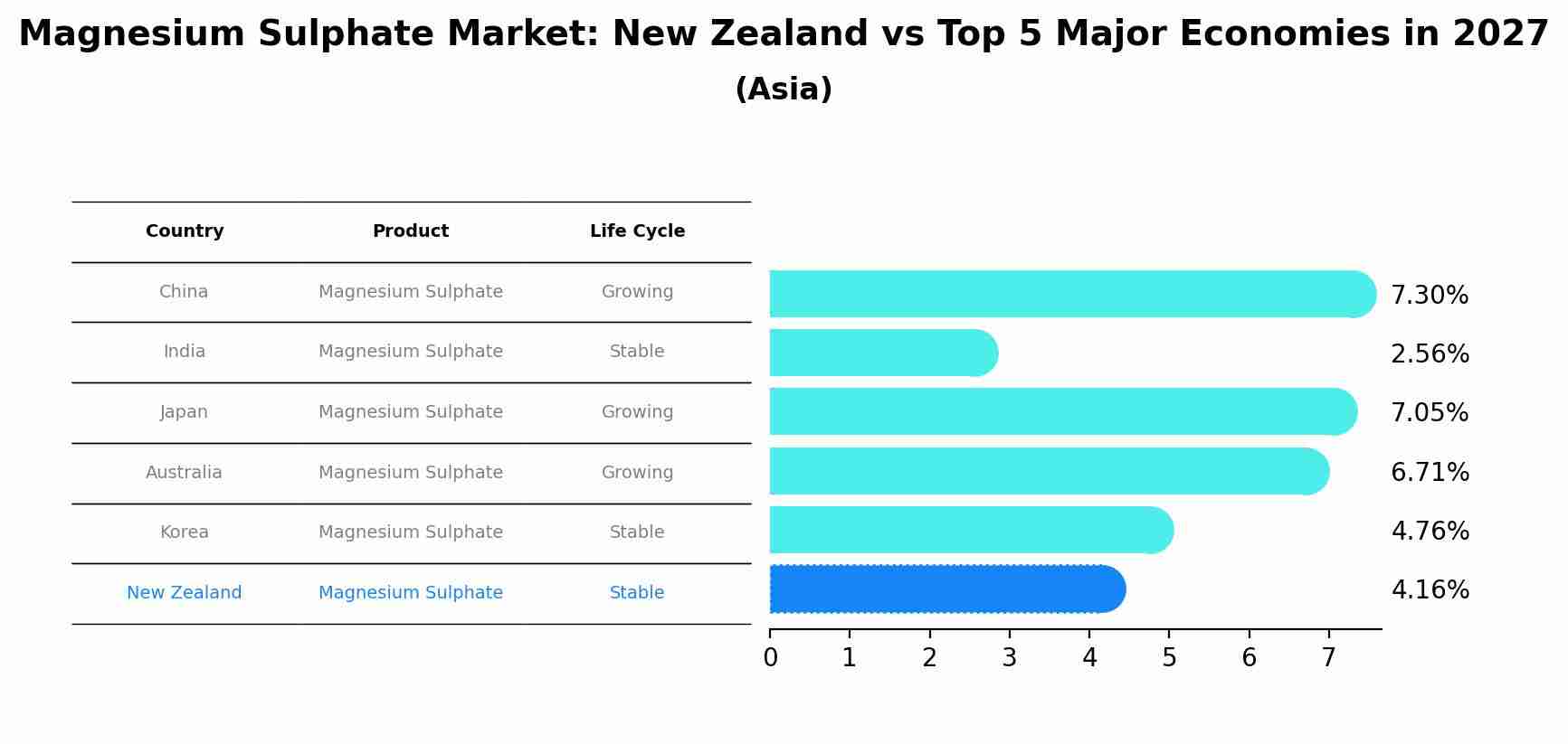 Magnesium Sulphate Market: New Zealand vs Top 5 Major Economies in 2027 (Asia)