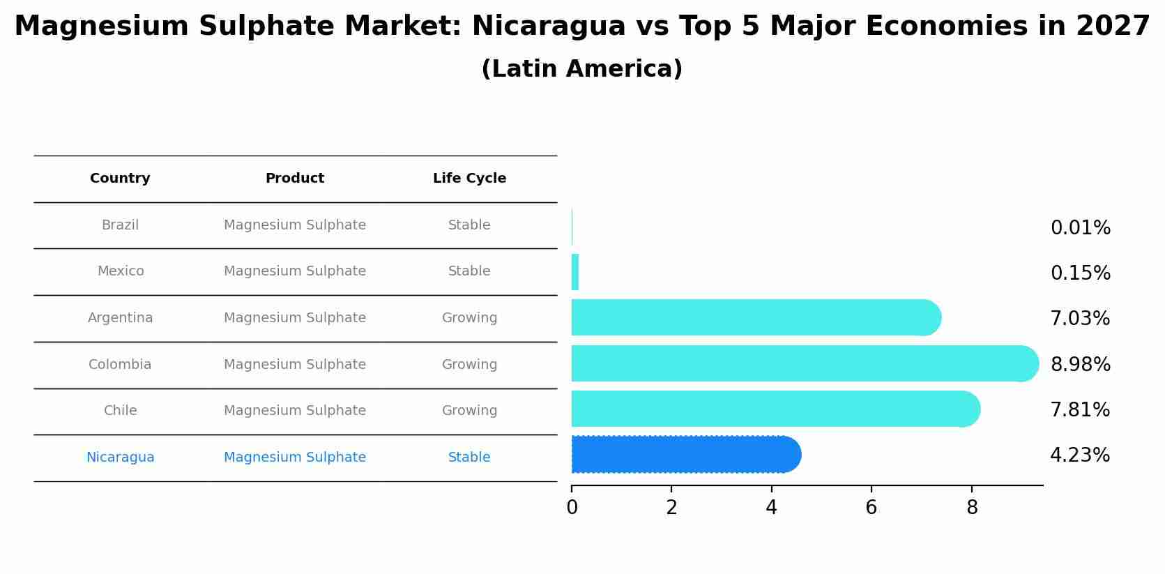 Magnesium Sulphate Market: Nicaragua vs Top 5 Major Economies in 2027 (Latin America)