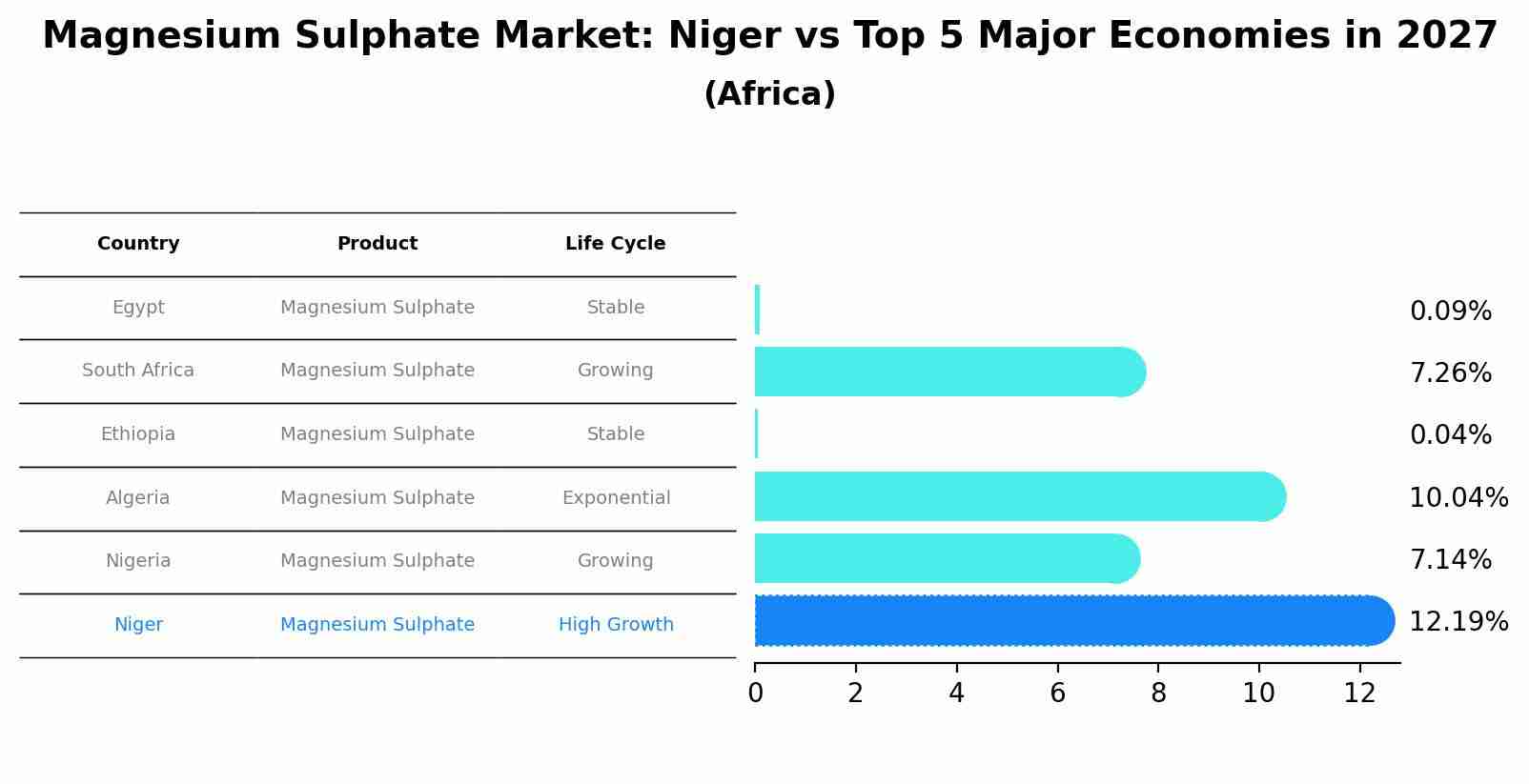 Magnesium Sulphate Market: Niger vs Top 5 Major Economies in 2027 (Africa)