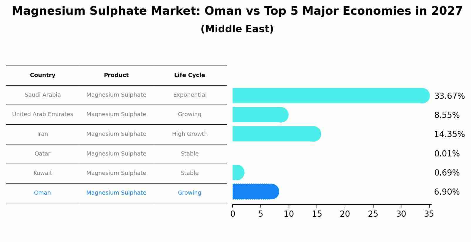 Magnesium Sulphate Market: Oman vs Top 5 Major Economies in 2027 (Middle East)