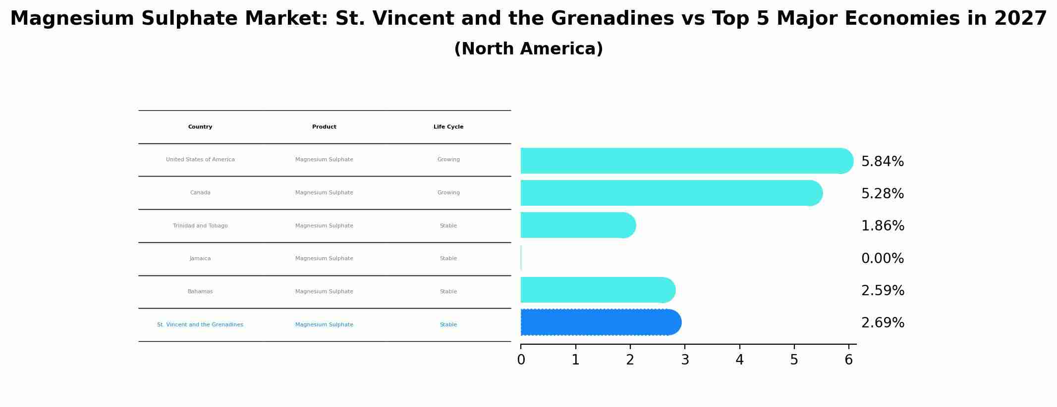 Magnesium Sulphate Market: St. Vincent and the Grenadines vs Top 5 Major Economies in 2027 (North America)