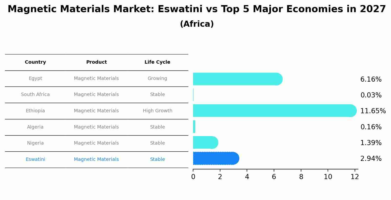 Magnetic Materials Market: Eswatini vs Top 5 Major Economies in 2027 (Africa)