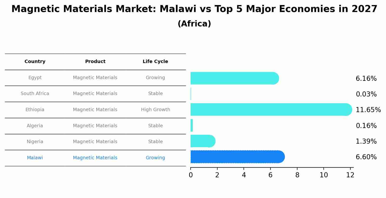 Magnetic Materials Market: Malawi vs Top 5 Major Economies in 2027 (Africa)