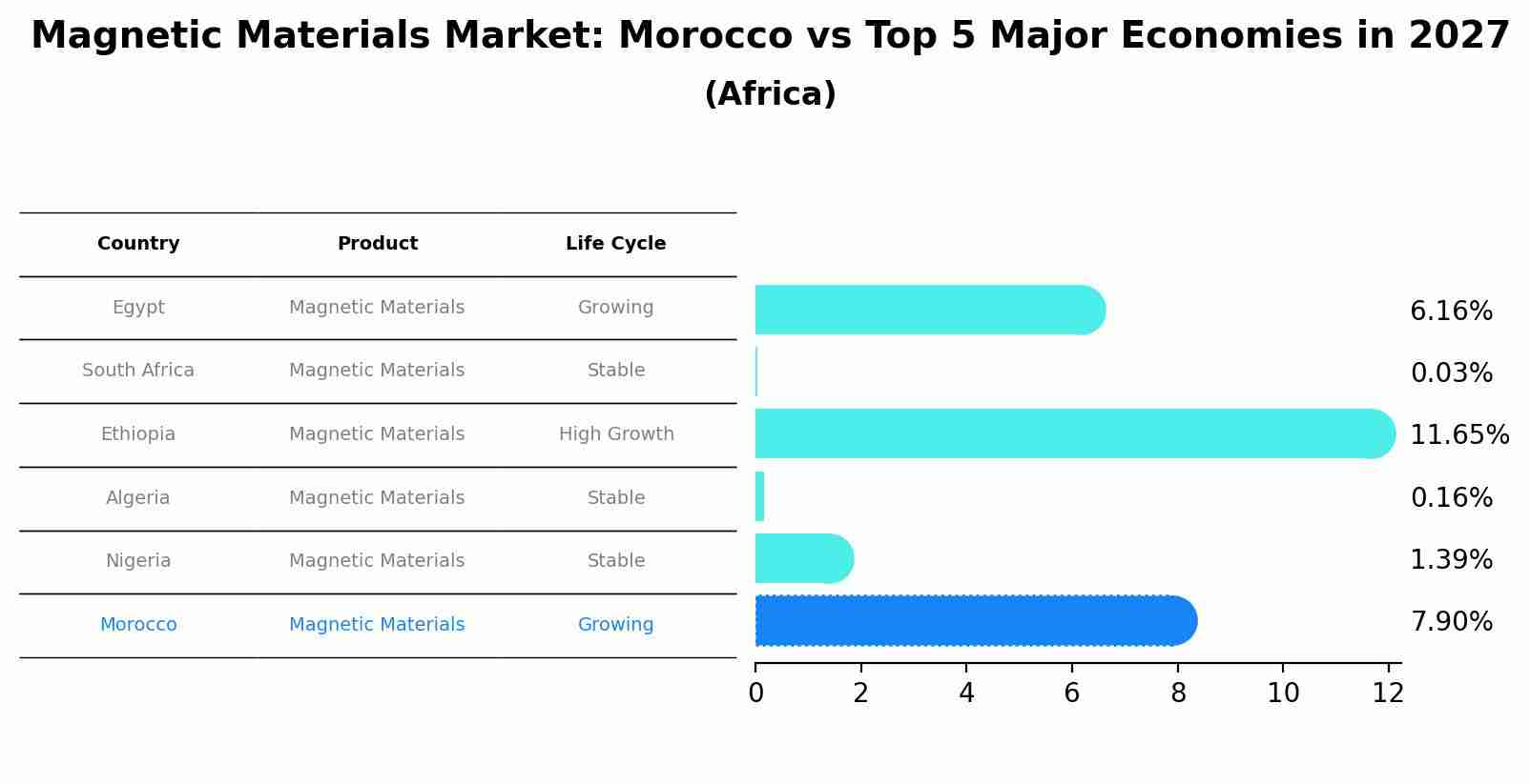 Magnetic Materials Market: Morocco vs Top 5 Major Economies in 2027 (Africa)