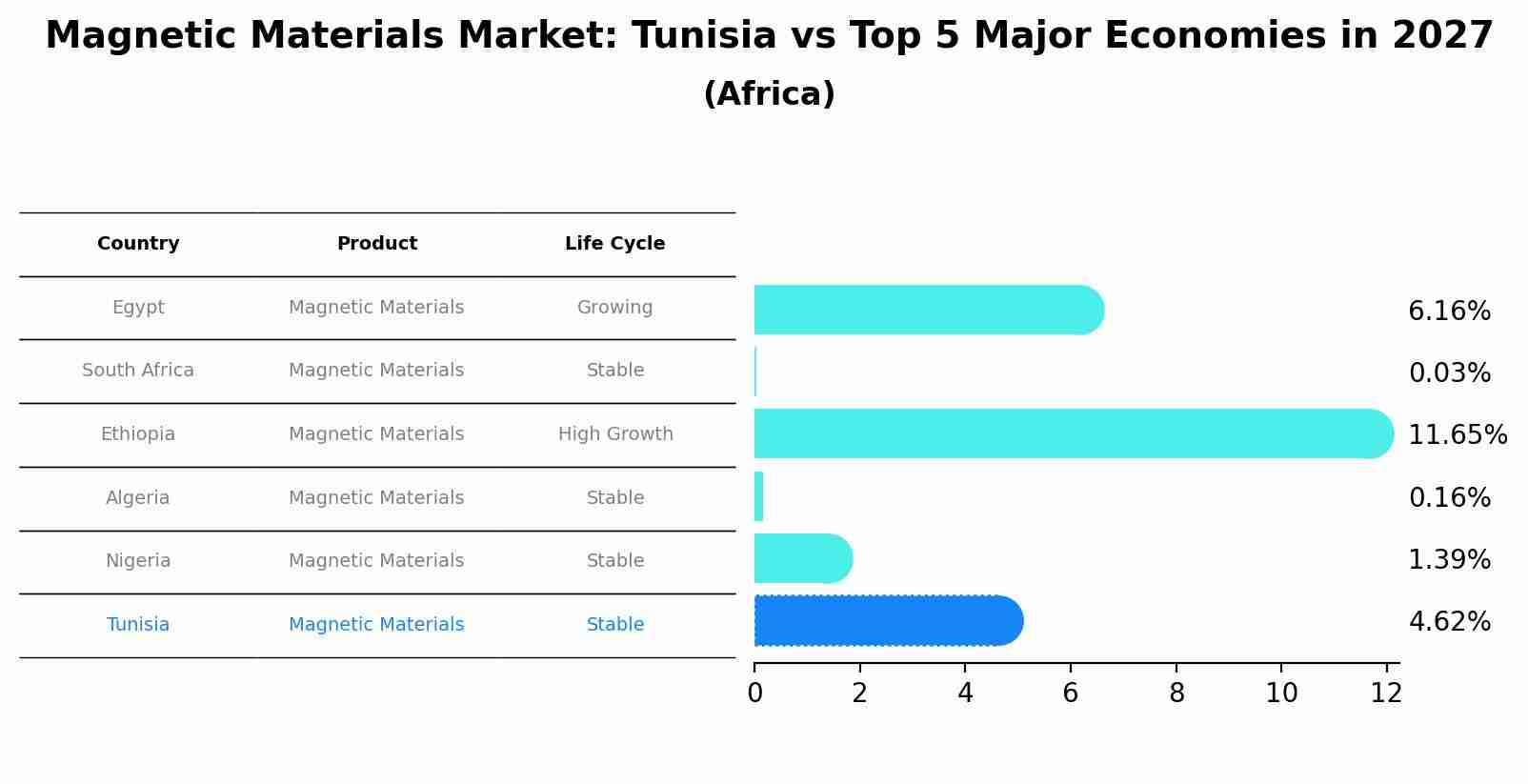 Magnetic Materials Market: Tunisia vs Top 5 Major Economies in 2027 (Africa)