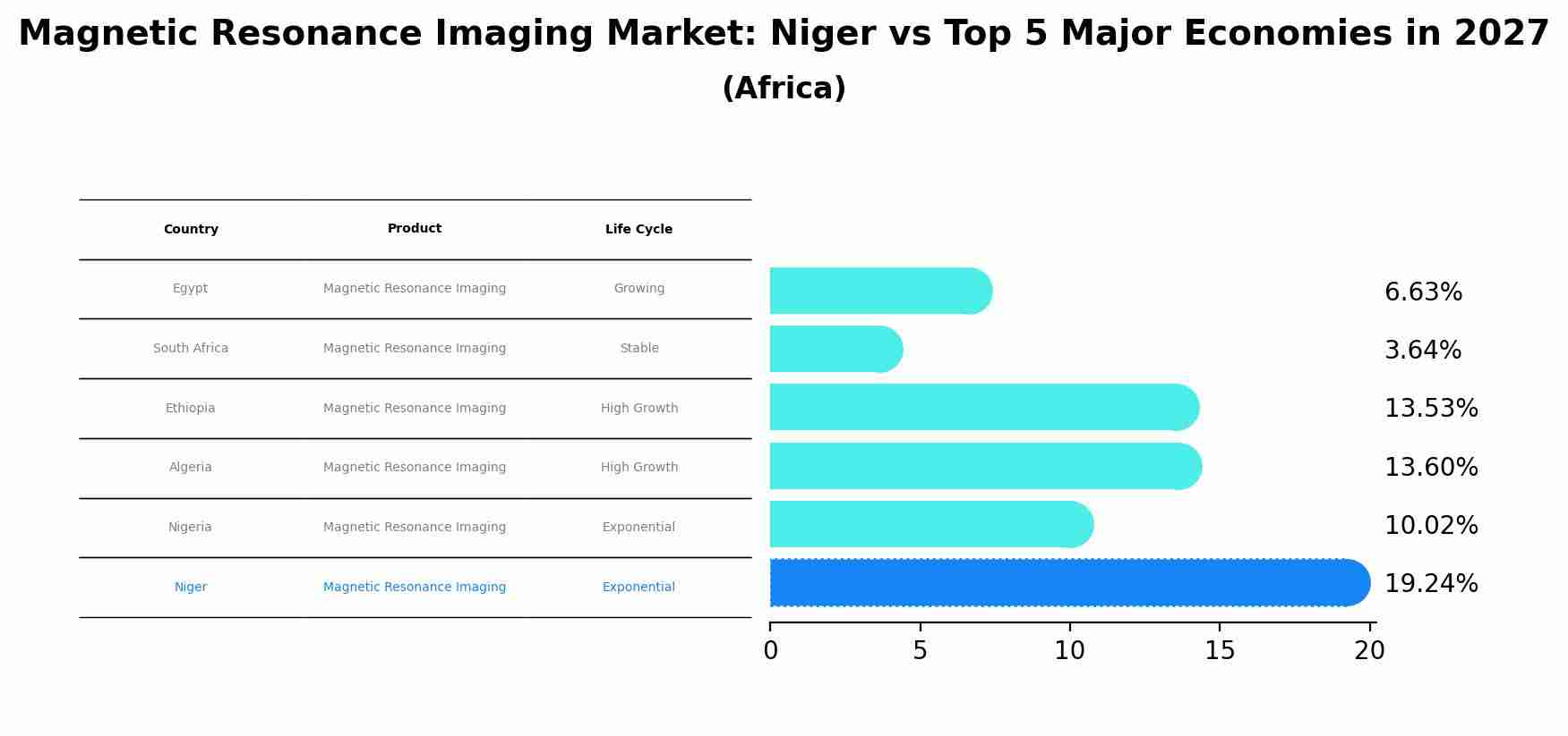Magnetic Resonance Imaging Market: Niger vs Top 5 Major Economies in 2027 (Africa)