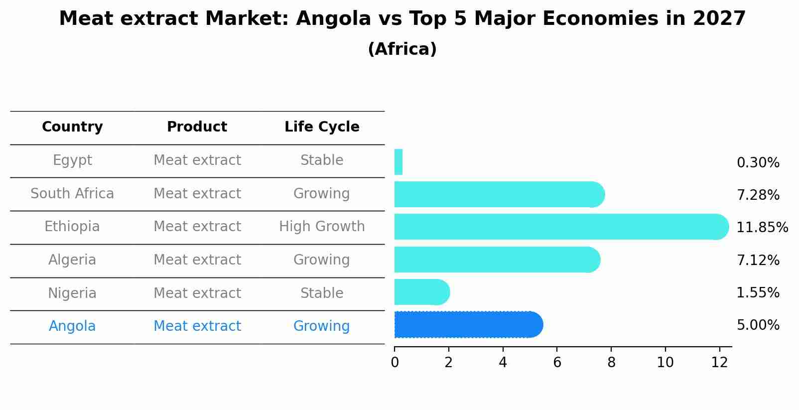 Meat extract Market: Angola vs Top 5 Major Economies in 2027 (Africa)