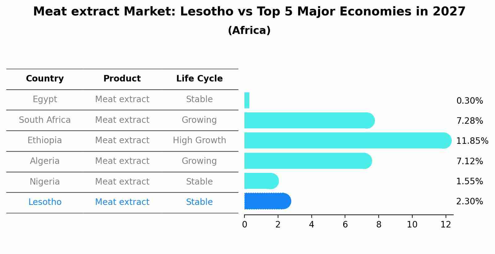 Meat extract Market: Lesotho vs Top 5 Major Economies in 2027 (Africa)