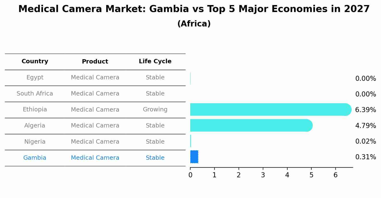 Medical Camera Market: Gambia vs Top 5 Major Economies in 2027 (Africa)