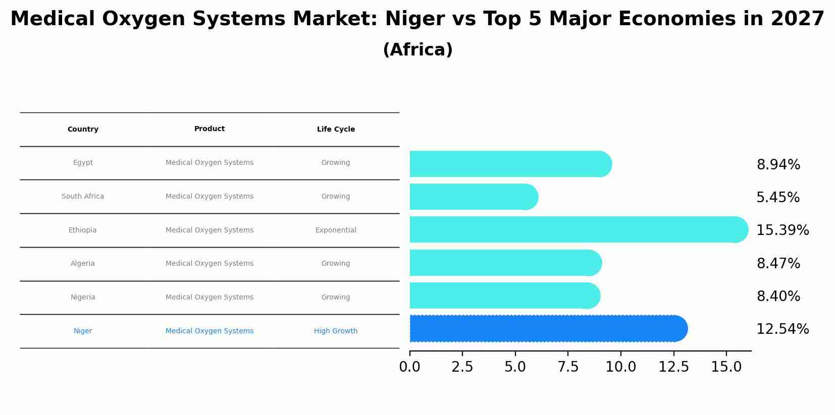 Medical Oxygen Systems Market: Niger vs Top 5 Major Economies in 2027 (Africa)