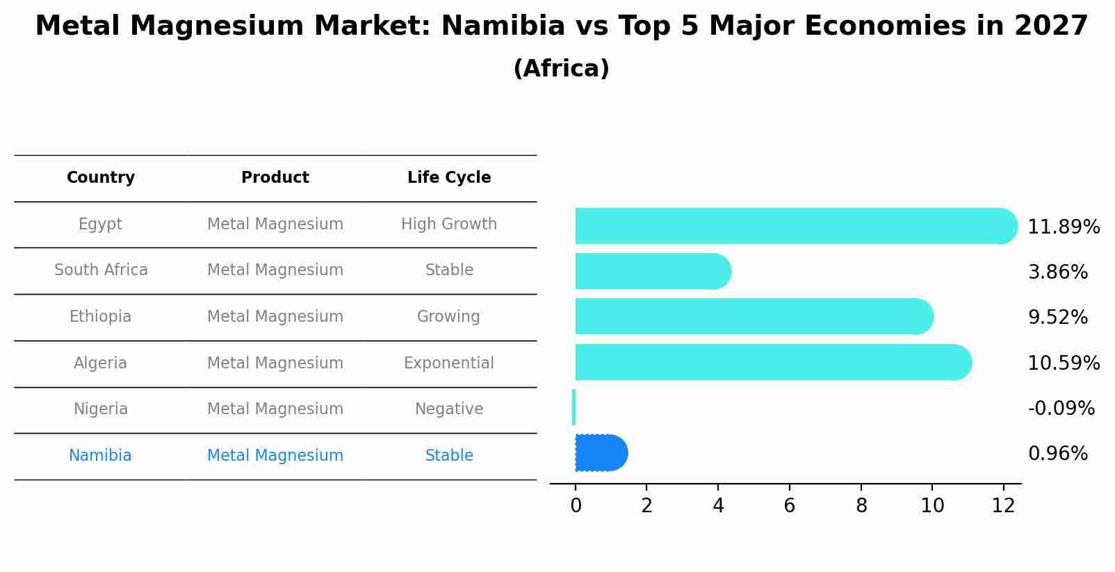 Metal Magnesium Market: Namibia vs Top 5 Major Economies in 2027 (Africa)