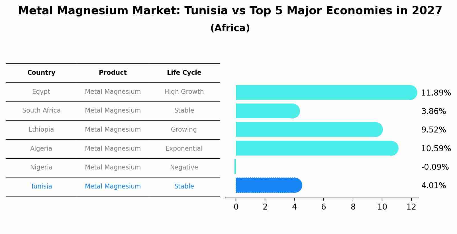 Metal Magnesium Market: Tunisia vs Top 5 Major Economies in 2027 (Africa)