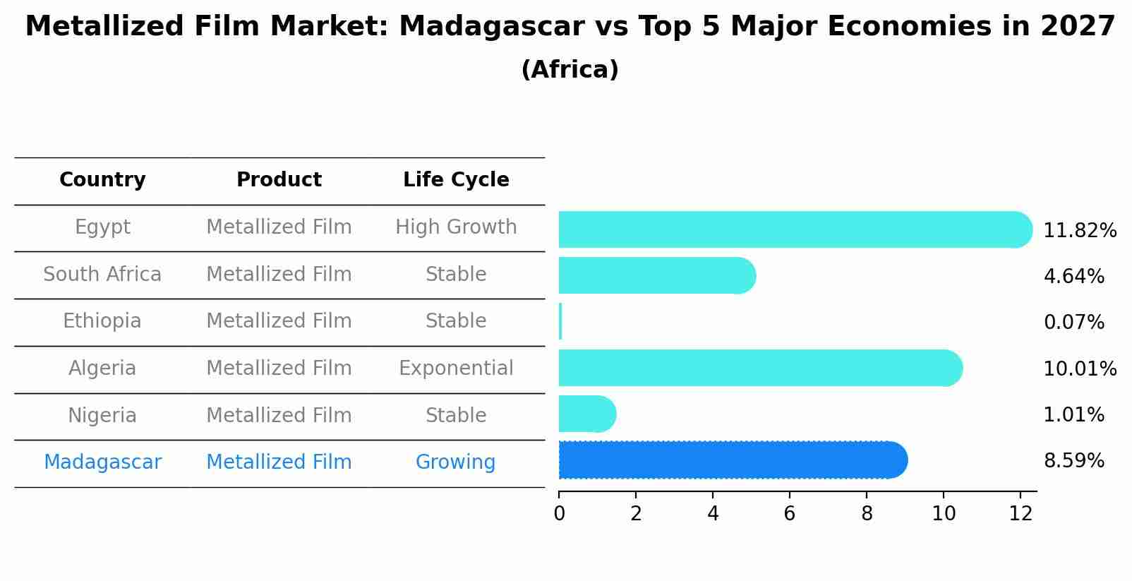 Metallized Film Market: Madagascar vs Top 5 Major Economies in 2027 (Africa)