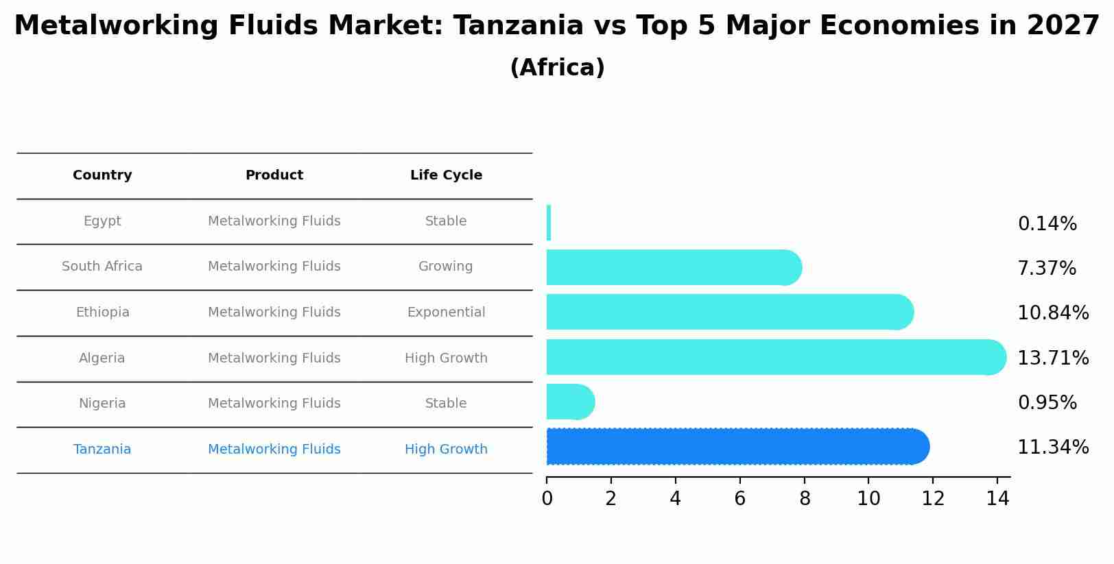Metalworking Fluids Market: Tanzania vs Top 5 Major Economies in 2027 (Africa)