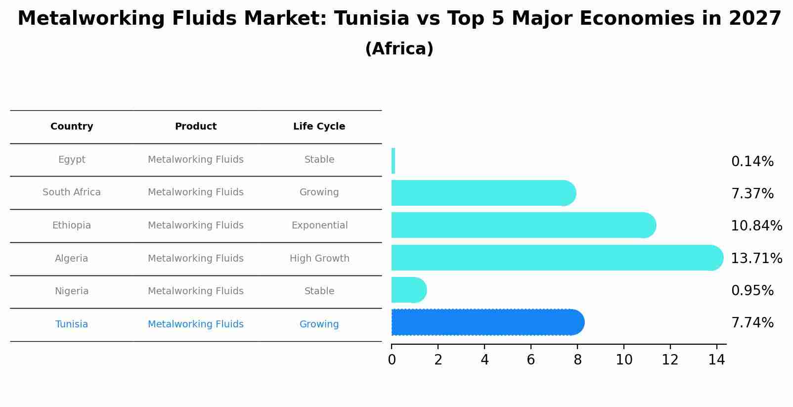 Metalworking Fluids Market: Tunisia vs Top 5 Major Economies in 2027 (Africa)