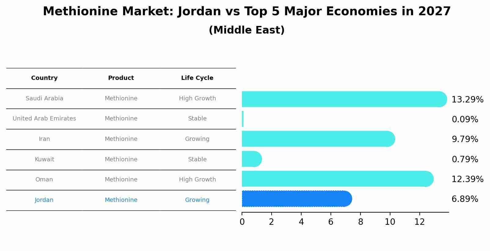 Methionine Market: Jordan vs Top 5 Major Economies in 2027 (Middle East)