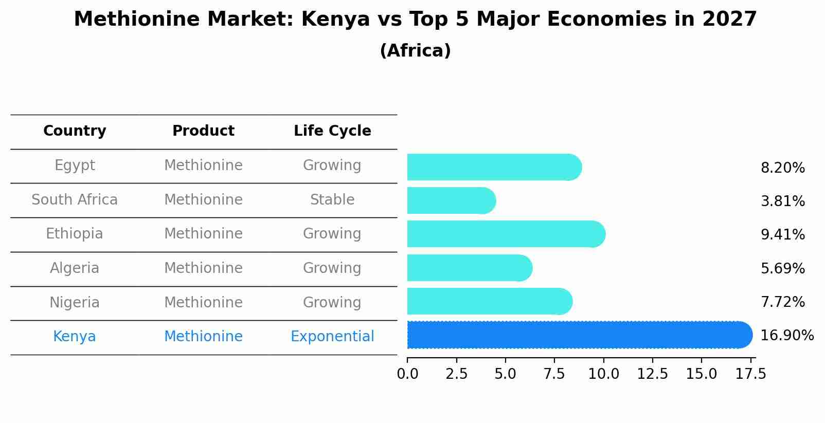 Methionine Market: Kenya vs Top 5 Major Economies in 2027 (Africa)